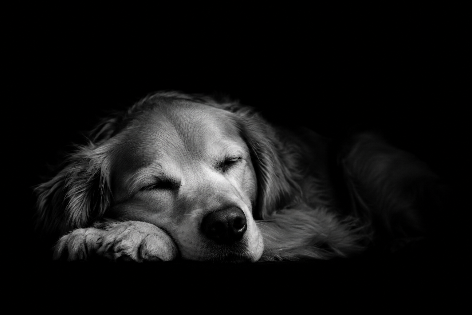 Sleep