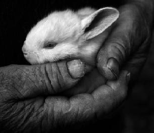 Silence...